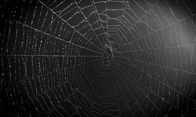 Read more about the article What are Dark Web Sites and Why Should We Care?